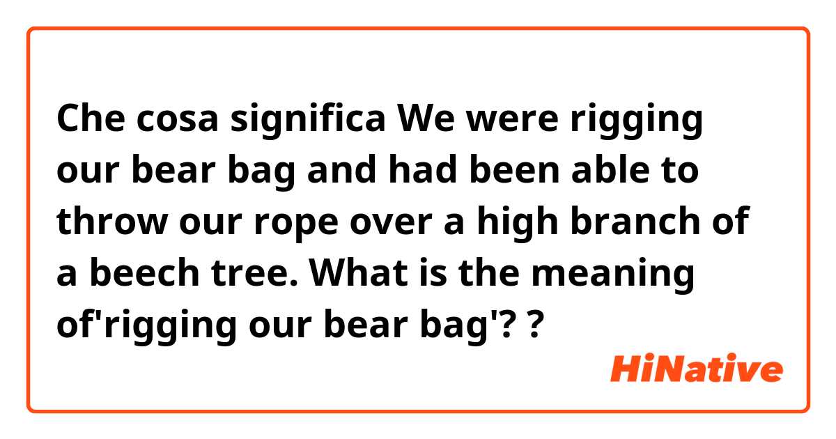 Che cosa significa We were rigging our bear bag and had been able to throw our rope over a high branch of a beech tree.

What is the meaning of'rigging our bear bag'??