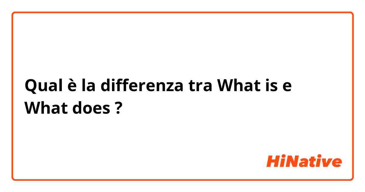 Qual è la differenza tra  What is e What does ?