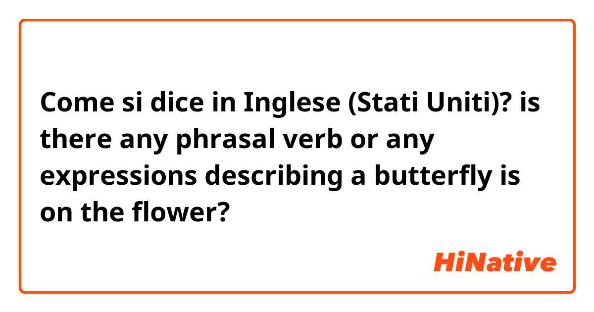 Come si dice in Inglese (Stati Uniti)? is there any phrasal verb or any expressions describing a butterfly is on the flower?