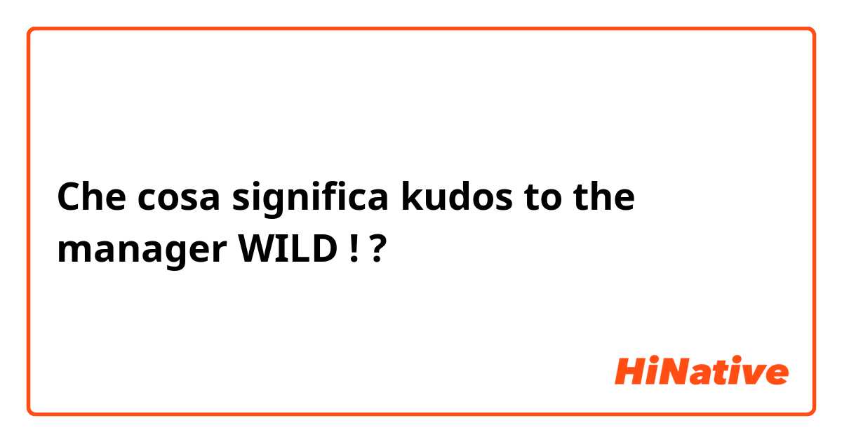 Che cosa significa kudos to the manager WILD !?
