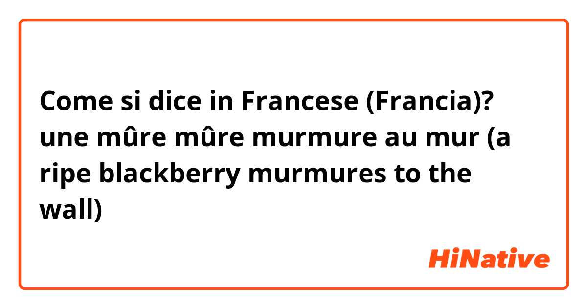 Come si dice in Francese (Francia)? une mûre mûre murmure au mur
(a ripe blackberry murmures to the wall)