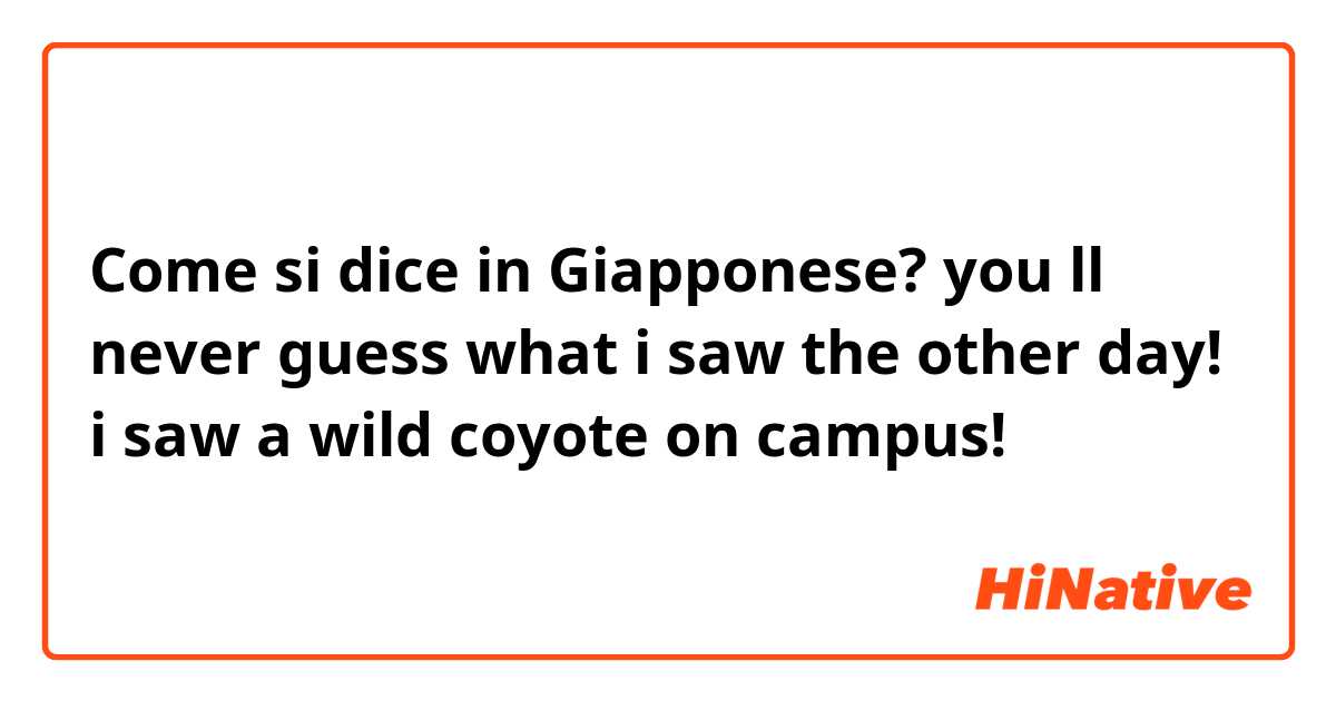 Come si dice in Giapponese? you ll never guess what i saw the other day!  i saw a wild coyote on campus!