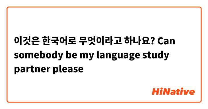 이것은 한국어로 무엇이라고 하나요? Can somebody be my language study partner please