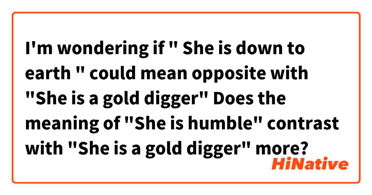 What is the meaning of what does GOLD DIGGER means ?? - Question
