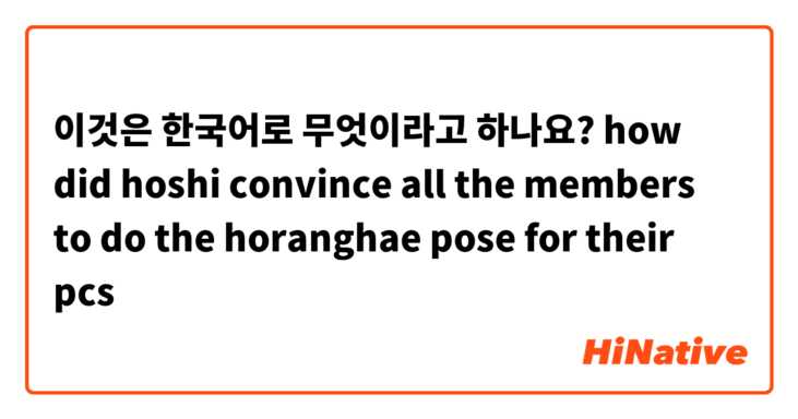 이것은 한국어로 무엇이라고 하나요? how did hoshi convince all the members to do the horanghae pose for their pcs