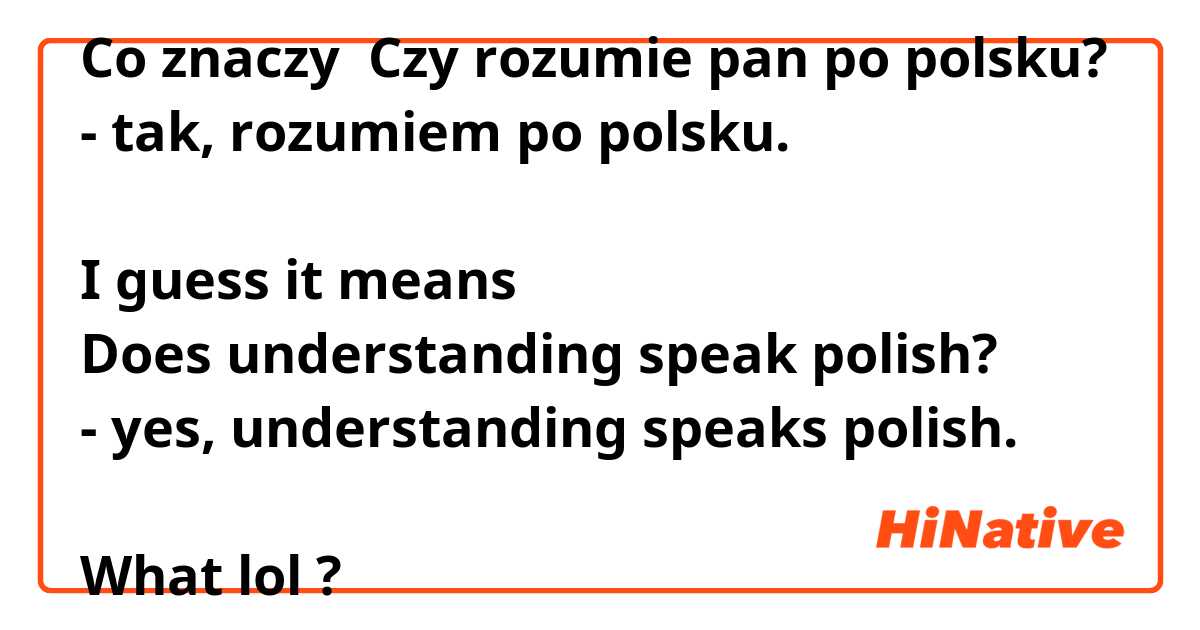 Co znaczy Czy rozumie pan po polsku?
- tak, rozumiem po polsku.

I guess it means
Does understanding speak polish?
- yes, understanding speaks polish.

What lol?