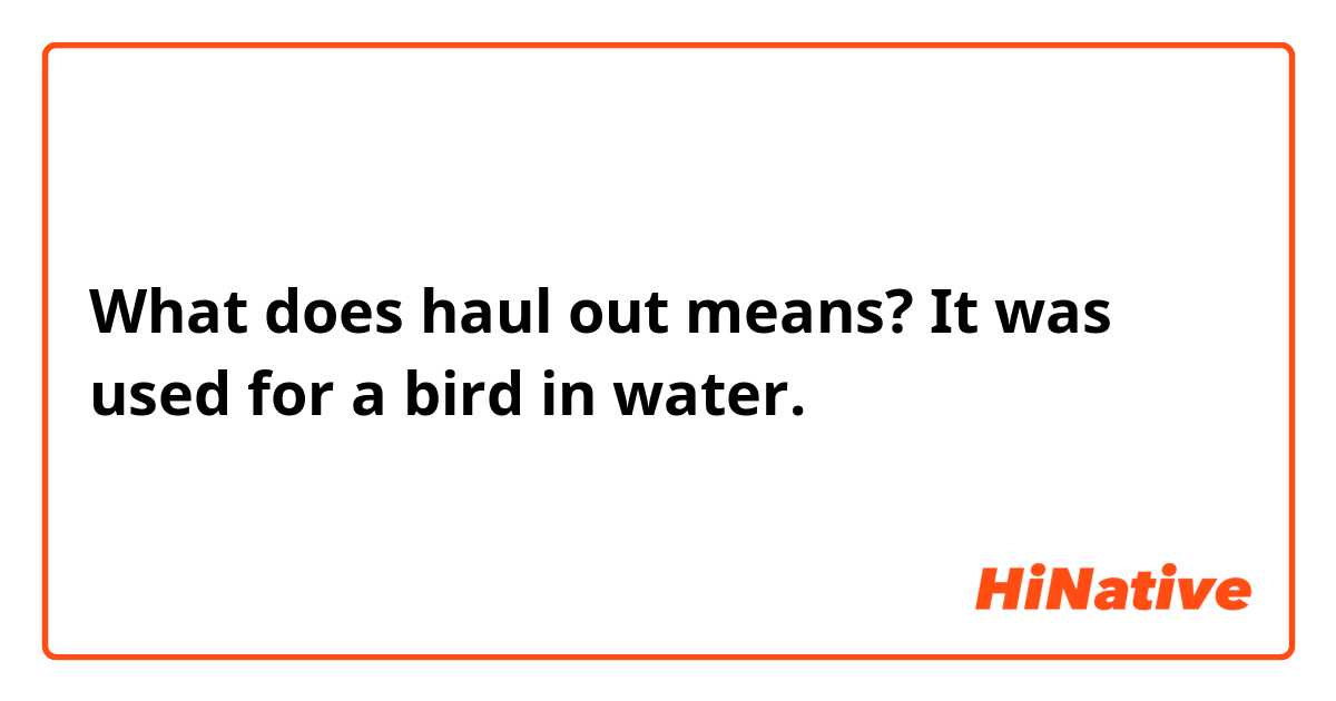 What does haul out means? It was used for a bird in water.