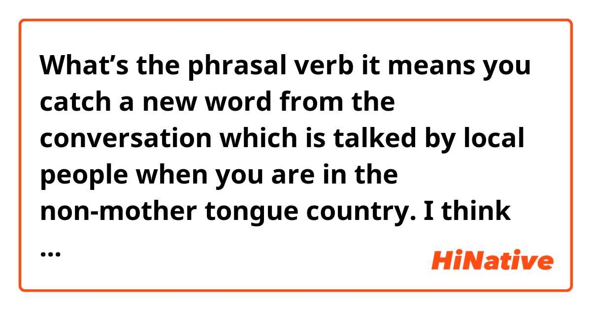 What’s the phrasal verb it means you catch a new word from the conversation which is talked by local people when you are in the non-mother tongue country. I think “pick up” could be suitable but is there anything with “take”?