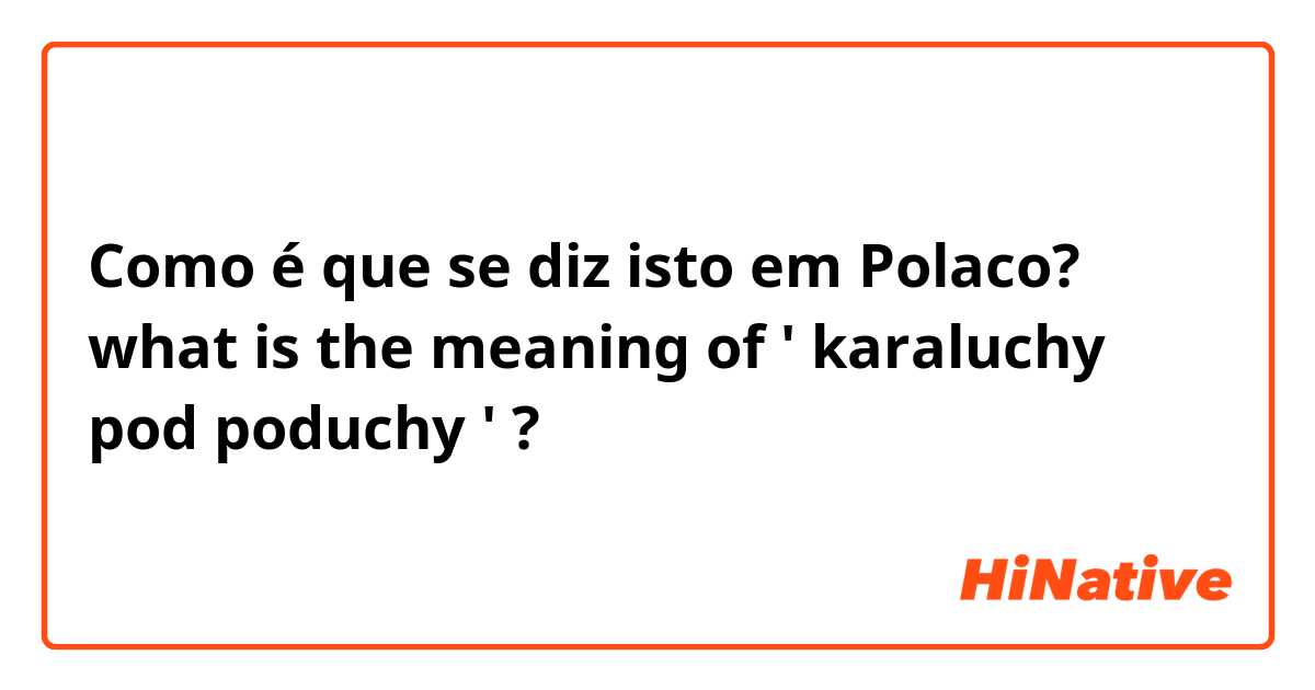 Como é que se diz isto em Polaco? what is the meaning of ' karaluchy pod poduchy ' ? 