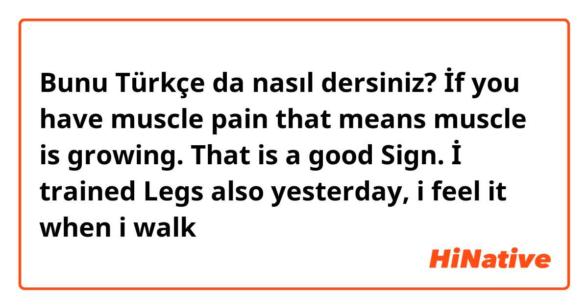 Bunu Türkçe da nasıl dersiniz? İf you have muscle pain that means muscle is growing. That is a good Sign. 
İ trained Legs also yesterday, i feel it when i walk 