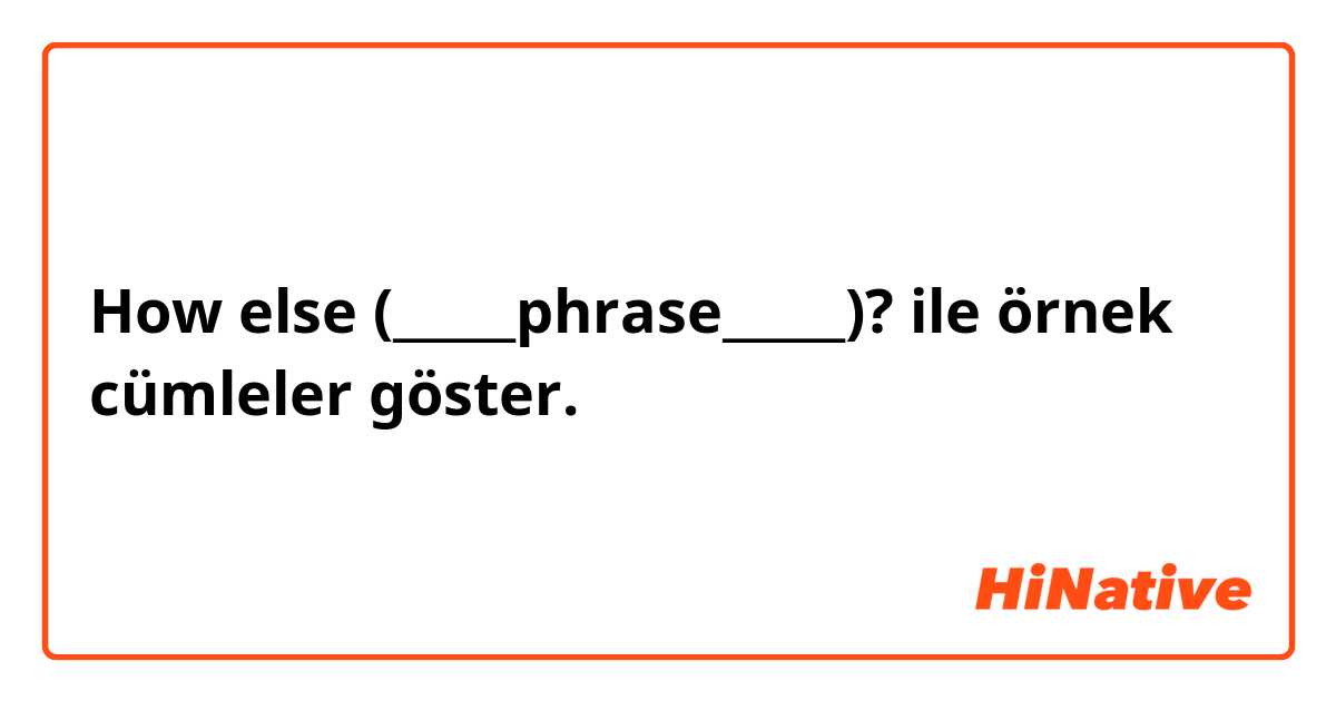 How else (_____phrase_____)? ile örnek cümleler göster.
