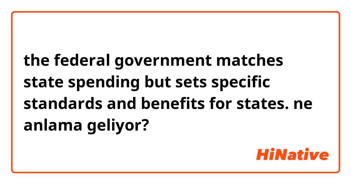 the federal government matches state spending but sets specific standards and benefits for states. ne anlama geliyor?