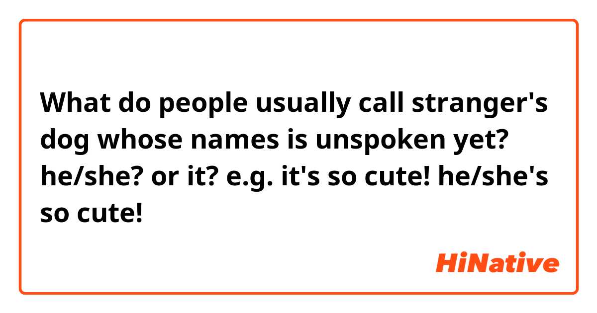 What do people usually call stranger\'s dog whose names is unspoken ...