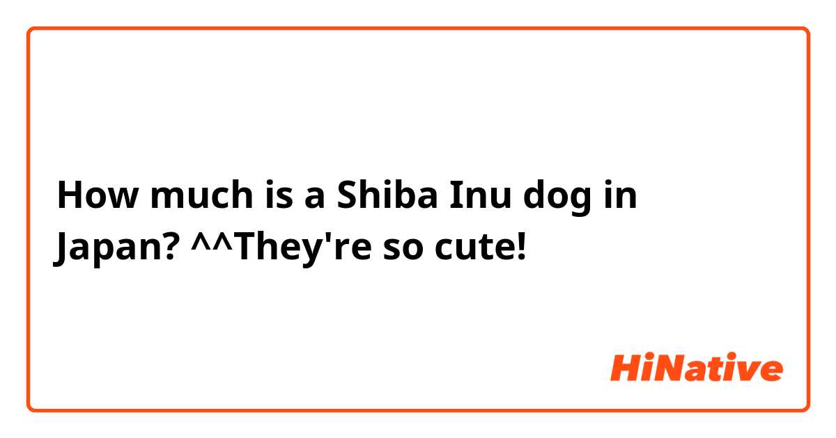 How much is a Shiba Inu dog in Japan? ^^They\'re so cute! | HiNative