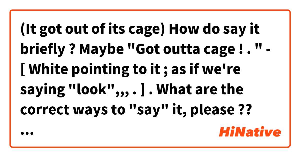 (It got out of its cage) How do say it briefly ?
●● Maybe "Got outta cage ! . " - [ White pointing to it ; as if we're saying "look",,, .   ] .
★What are the correct ways to "say" it, please ??
Thank you very much ! :) .
