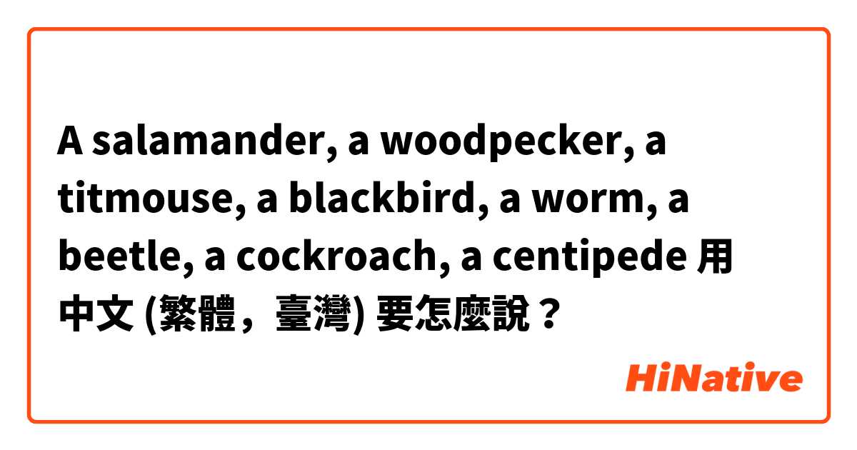 A salamander, a woodpecker, a titmouse, a blackbird, a worm, a beetle, a cockroach, a centipede用 中文 (繁體，臺灣) 要怎麼說？