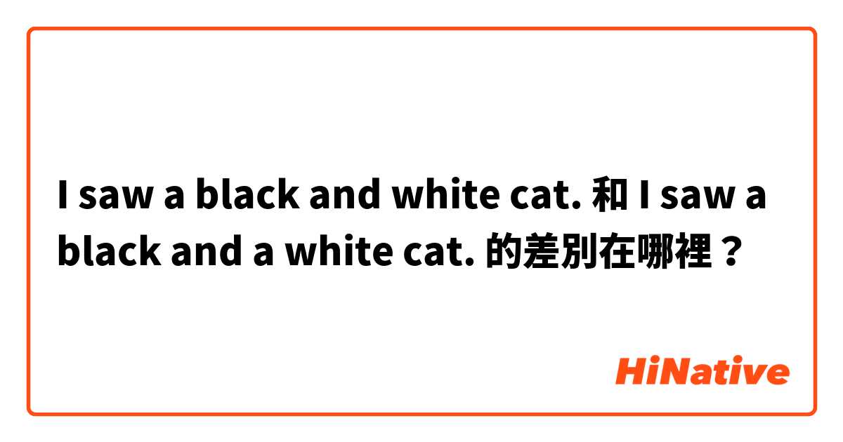 I saw a black and white cat. 和 I saw a black and a white cat. 的差別在哪裡？