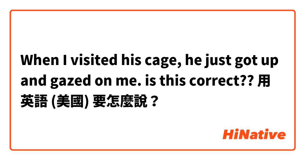 When I visited his cage, he just got up and gazed on me. is this correct??用 英語 (美國) 要怎麼說？