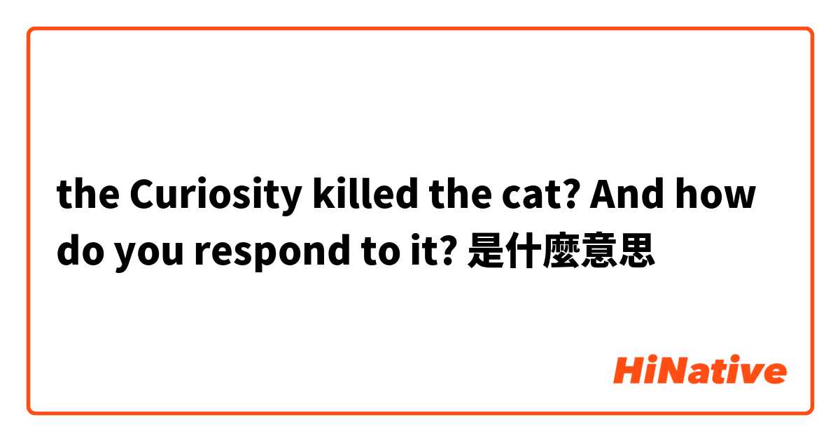 the Curiosity killed the cat? And how do you respond to it? 是什麼意思