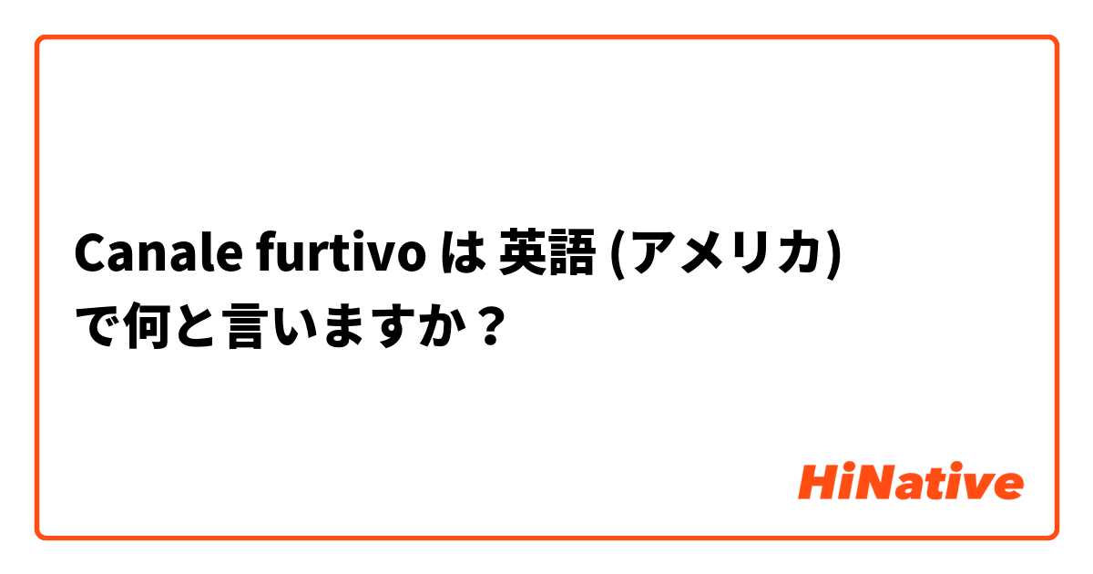 Canale furtivo は 英語 (アメリカ) で何と言いますか？