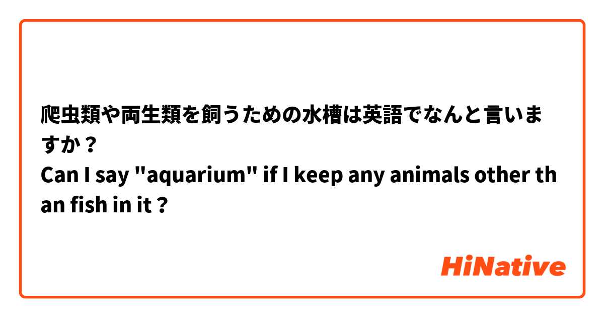 爬虫類や両生類を飼うための水槽は英語でなんと言いますか Can I Say Aquarium If I Keep Any Animals Other Than Fish In It Hinative