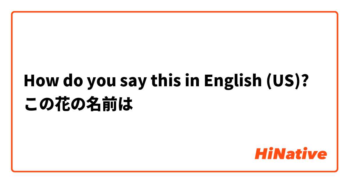 How do you say this in English (US)? この花の名前は❓