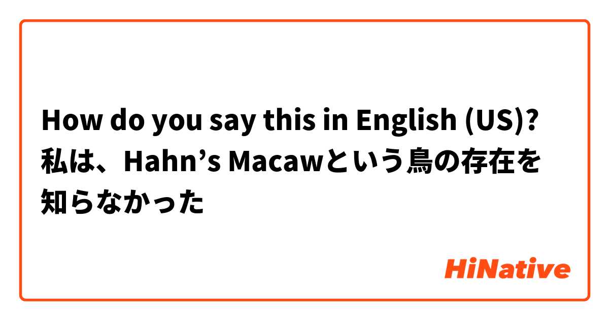 How do you say this in English (US)? 私は、Hahn’s Macawという鳥の存在を知らなかった