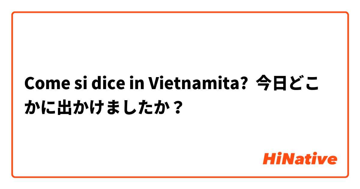Come si dice in Vietnamita? 今日どこかに出かけましたか？