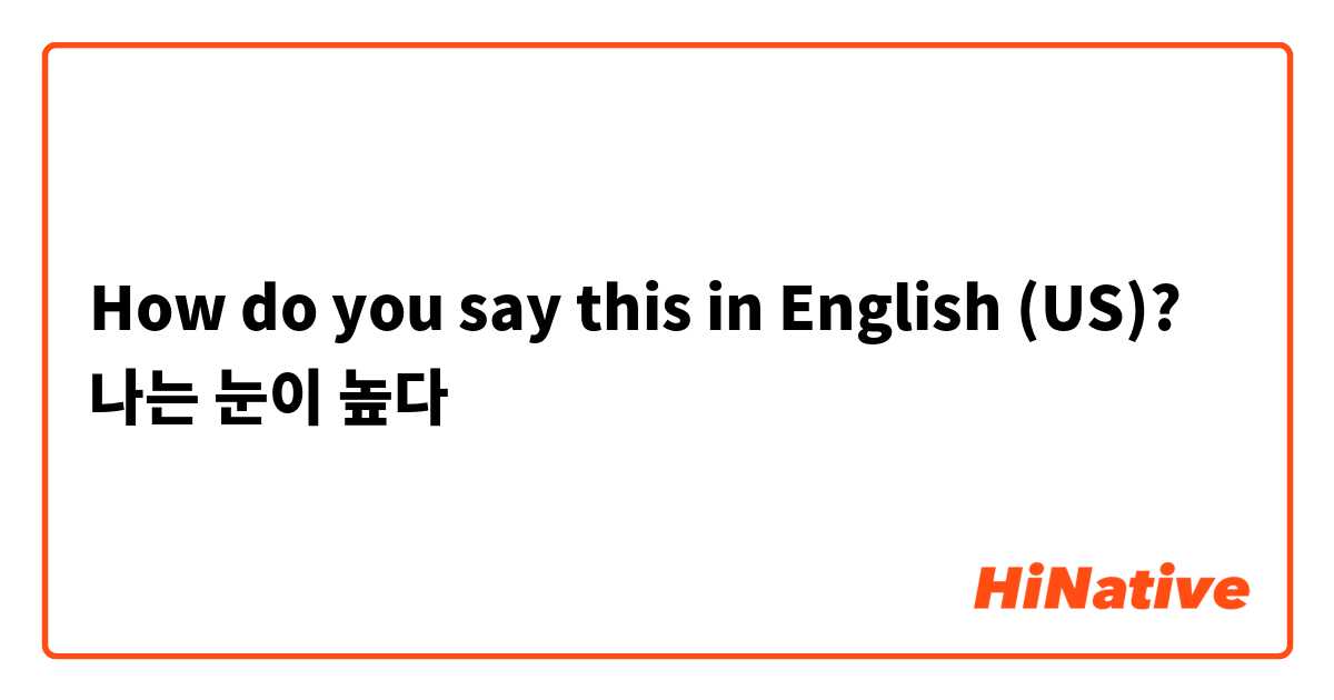 How do you say this in English (US)? 나는 눈이 높다