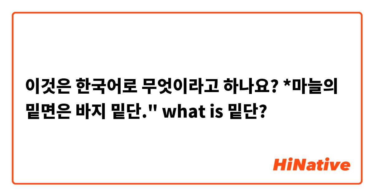 이것은 한국어로 무엇이라고 하나요? *마늘의 밑면은 바지 밑단."

what is 밑단?