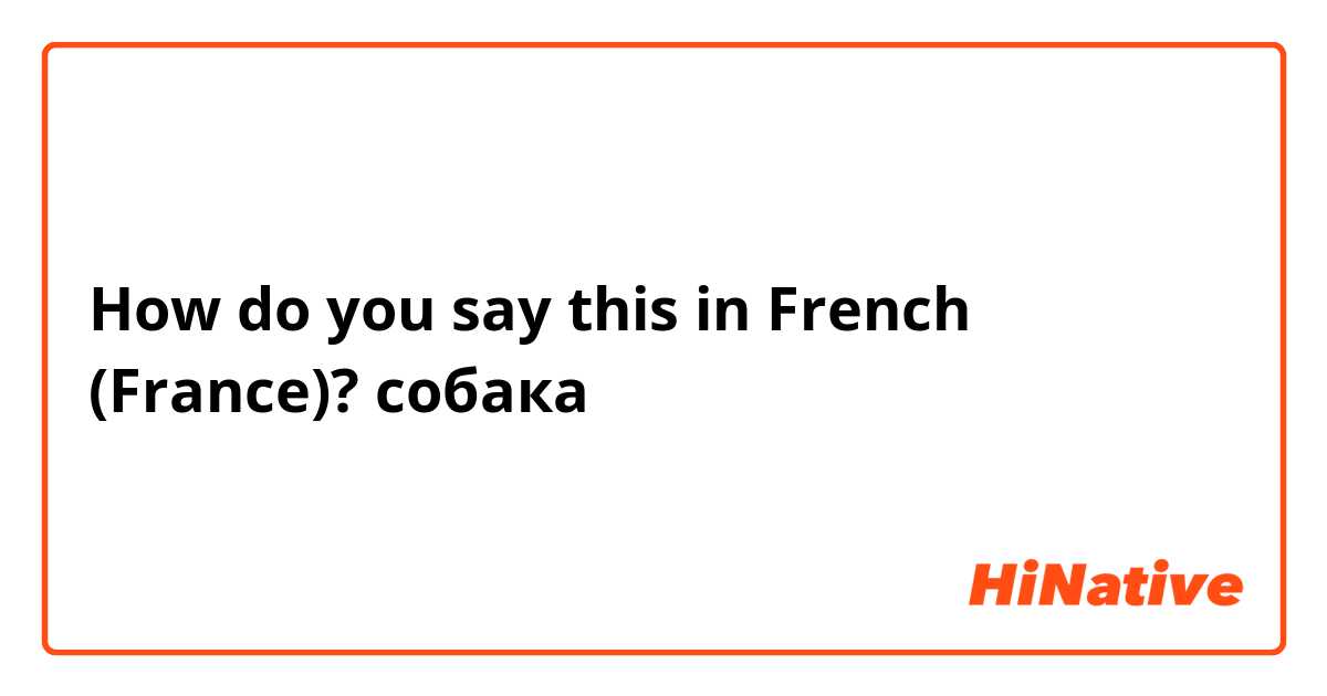 How do you say this in French (France)? собака
