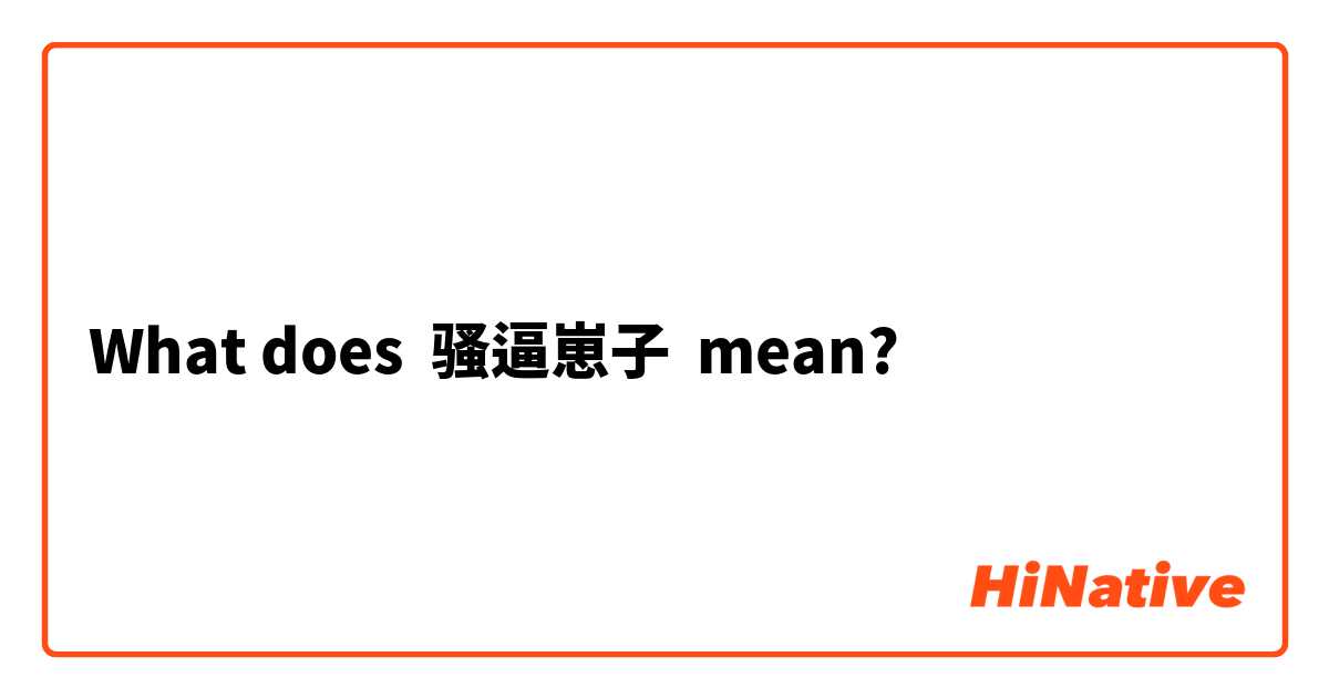 What does 骚逼崽子 mean?