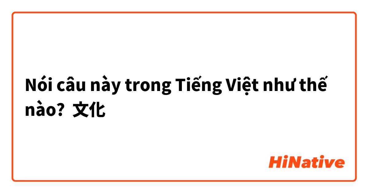Nói câu này trong Tiếng Việt như thế nào? 文化
