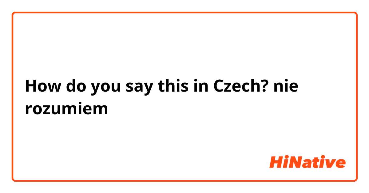 How do you say this in Czech? nie rozumiem