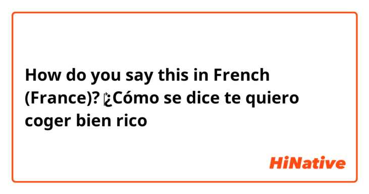 How do you say this in French (France)? ‎¿Cómo se dice te quiero coger bien rico
