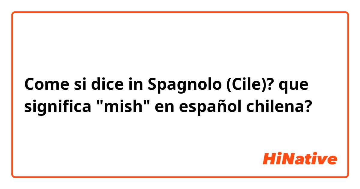 Come si dice in Spagnolo (Cile)? que significa "mish" en español chilena?