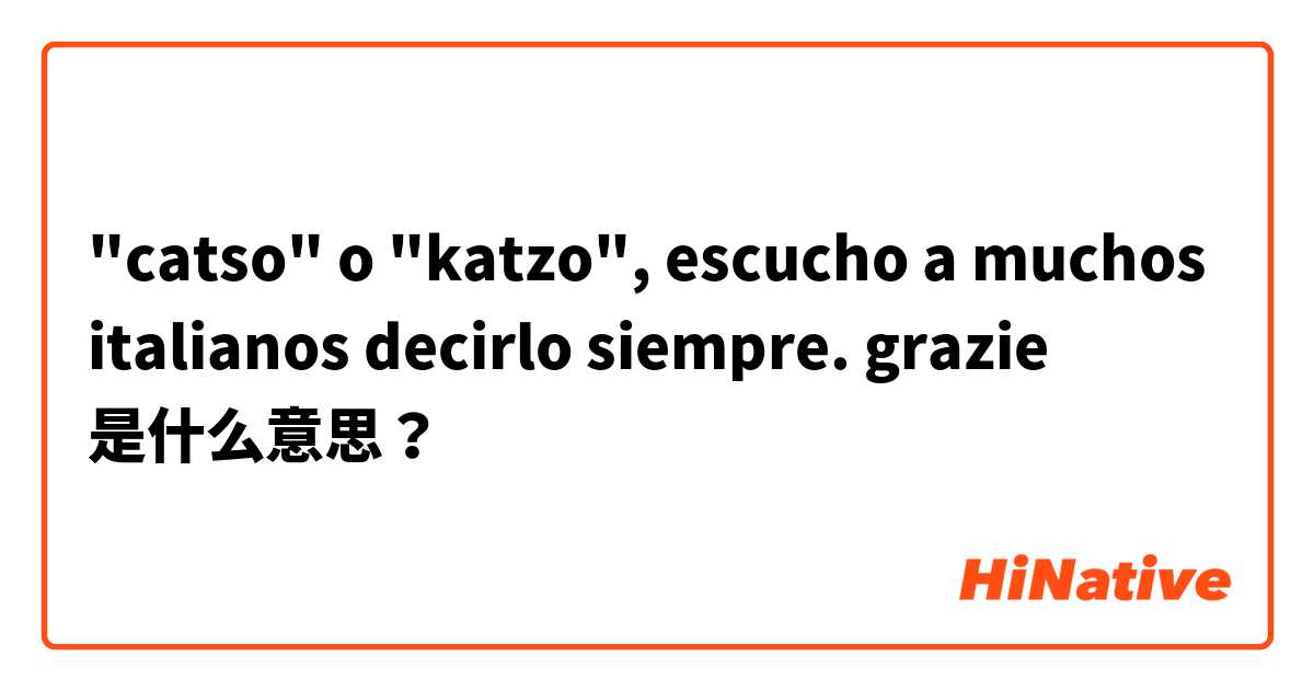 "catso" o "katzo", escucho a muchos italianos decirlo  siempre. grazie  是什么意思？