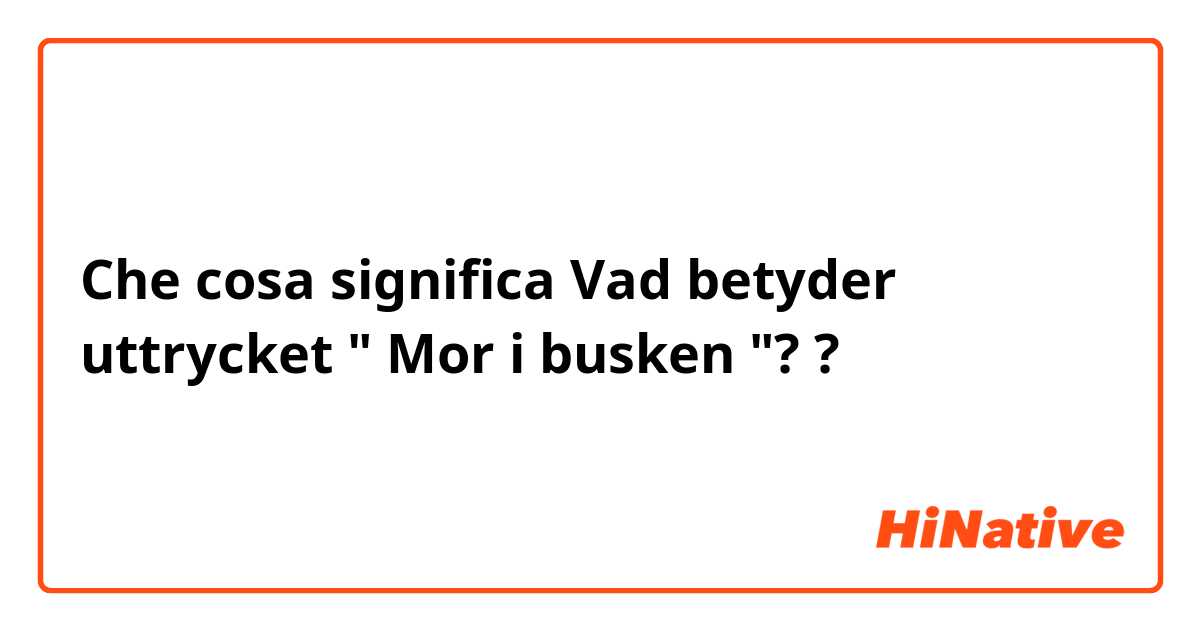 Che cosa significa Vad betyder uttrycket " Mor i busken "? ?